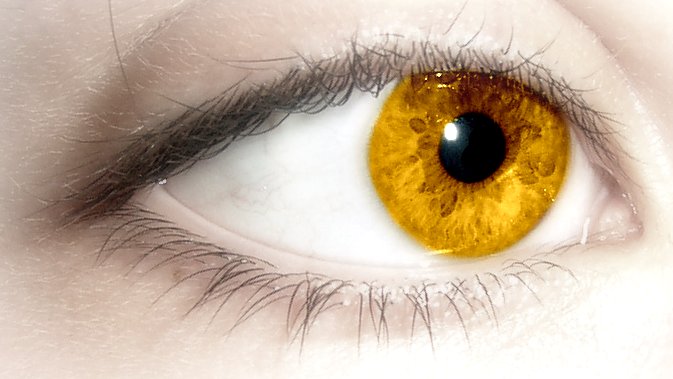 gold brown eyes
